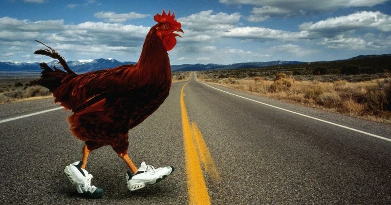 A look at chicken road españa